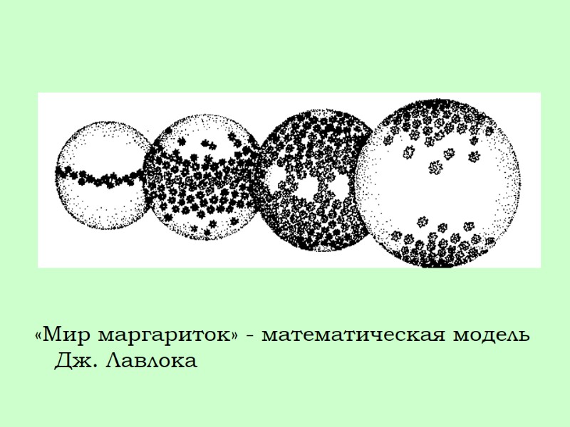 «Мир маргариток» - математическая модель Дж. Лавлока